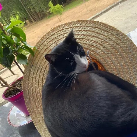 Κάμπινγκ Clareira Quiaios