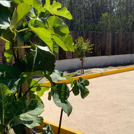 Clareira Κάμπινγκ