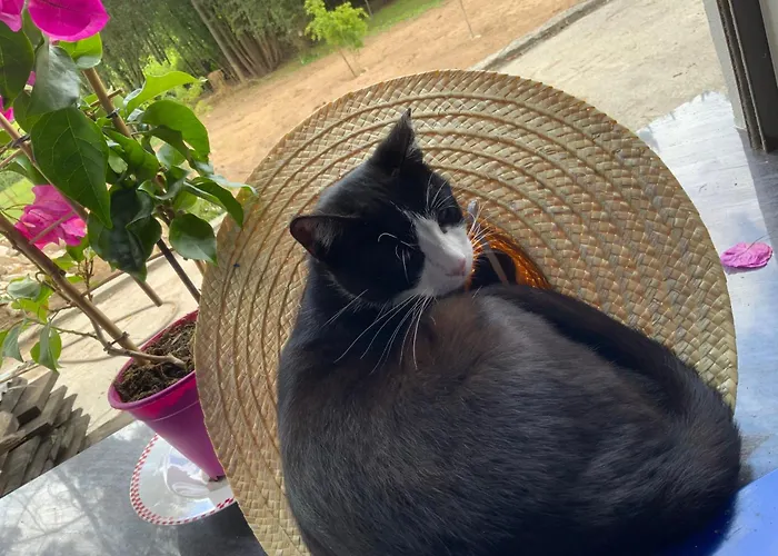 Kemping Clareira Quiaios