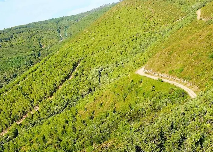 Kamp alanı Clareira