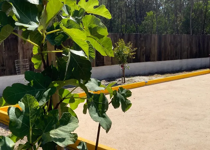 Clareira Kamp alanı
